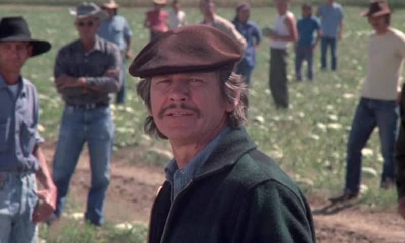 Thumbnail for A Melon Farmer Delivers Justice in the Under-Appreciated ‘Mr. Majestyk’