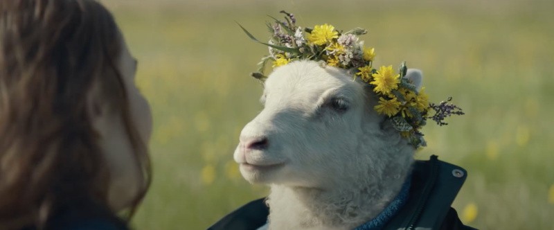 Shot By Shot Lamb Trailer